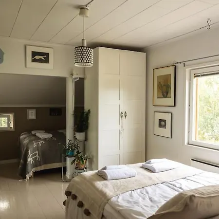 Vintage Of Lapland *