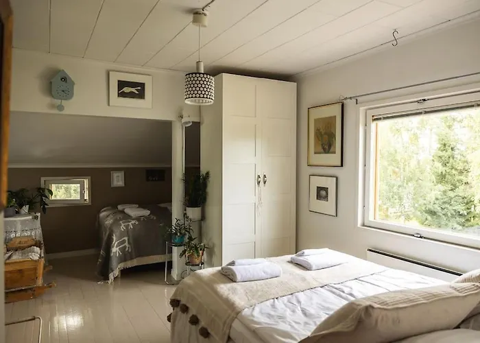 Vintage Of Lapland *